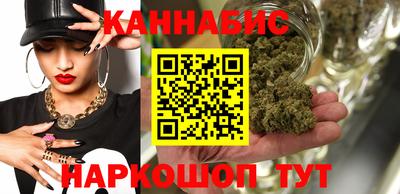 ешки Кингисепп