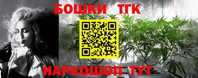ешки Кингисепп