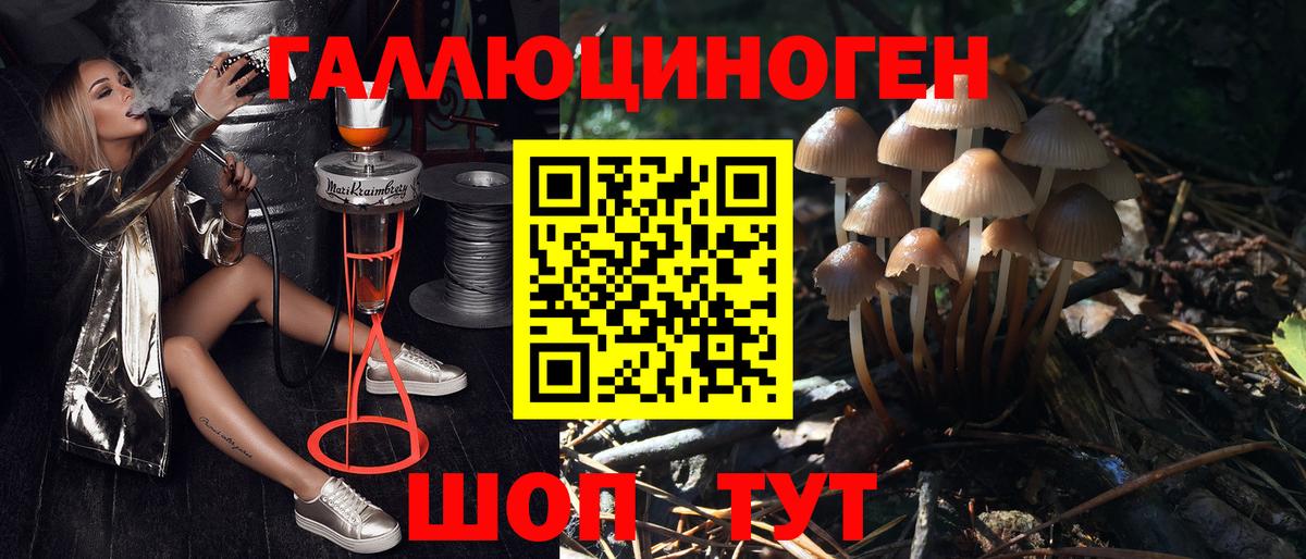Псилоцибиновые грибы мицелий Куйбышев