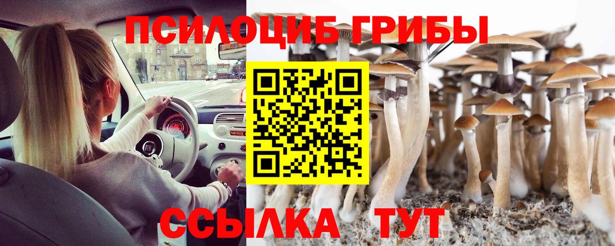 Галлюциногенные грибы ЛСД  Вход с VPN  Куйбышев  где купить наркоту  Галлюциногенные грибы Psilocybe 